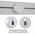 Накладной светильник Arte Milano Am-track-sockets-39 397953TLS/LWS Silver - фото 4934129