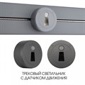 Накладной светильник Arte Milano Am-track-sockets-39 397953TLS/LWS Grey - фото 4934137