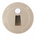 Накладной светильник Arte Milano Am-track-sockets-39 397953TLS/LWS Gold - фото 4934143