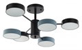 Люстра на штанге Arte Milano Ferrara 250906/6B Bk/Gr - фото 4934187