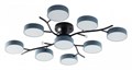 Потолочная люстра Arte Milano Ferrara 256606/8+1 Bk/Gr - фото 4934234