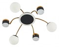 Потолочная люстра Arte Milano Ferrara-71040 272040/6 BK/GD - фото 4934341