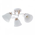 Потолочная люстра Arte Milano AMALFI-325395 325395/3A WH+FG - фото 4936082