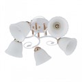 Потолочная люстра Arte Milano AMALFI-325395 325395/5A WH+FG - фото 4936089