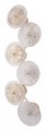 Накладной светильник Arte Milano AM-1252B 6.1252B.D250.H700.LED G - фото 4936686