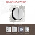 Выключатель для жалюзи без рамки Arte Milano 202 202.38-2.silver - фото 4937146 Выключатель для жалюзи без рамки Arte Milano 202 202.38-2.silver - фото 4937146