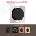 Выключатель для жалюзи с подсветкой без рамки Arte Milano 202 202.39-2.black - фото 4937160 Выключатель для жалюзи с подсветкой без рамки Arte Milano 202 202.39-2.black - фото 4937160