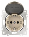Розетка влагозащищенная с заземлением и со шторкой с крышкой Arte Milano am-202 202.41-1.shampan - фото 4937230