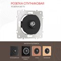 ТВ-розетка без рамки Arte Milano am-202 202.42-1.black - фото 4937247