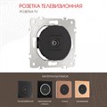 ТВ-розетка без рамки Arte Milano am-202 202.43-1.black - фото 4937275 ТВ-розетка без рамки Arte Milano am-202 202.43-1.black - фото 4937275