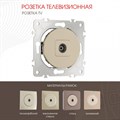 ТВ-розетка без рамки Arte Milano am-202 202.43-1.shampan - фото 4937282