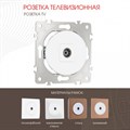ТВ-розетка без рамки Arte Milano am-202 202.43-1.white - фото 4937296