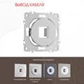 Розетка для вывод кабеля без рамки Arte Milano am-202 202.49-1.silver - фото 4937415