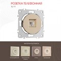 Розетка телефонная RJ-11 без рамки Arte Milano am-202 202.51-1.shampan - фото 4937464 Розетка телефонная RJ-11 без рамки Arte Milano am-202 202.51-1.shampan - фото 4937464