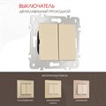 Выключатель проходной двухклавишный без рамки Arte Milano 203 203.32-2.shampan - фото 4937634 Выключатель проходной двухклавишный без рамки Arte Milano 203 203.32-2.shampan - фото 4937634