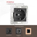 Розетка с заземлением и со шторкой, без рамки Arte Milano am-203 203.40-1.black - фото 4937838