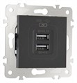 Розетка USB, без рамки Arte Milano am-203 203.46-1.black - фото 4938039