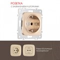 Розетка с заземлением и со шторкой, без рамки Arte Milano am-205 205.40-1.shampan - фото 4938312
