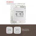 Розетка двойная RJ-11 и Ethernet RJ-45, без рамки Arte Milano am-205 205.44-1.silver - фото 4938400 Розетка двойная RJ-11 и Ethernet RJ-45, без рамки Arte Milano am-205 205.44-1.silver - фото 4938400