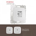 Розетка Ethernet RJ-45 без рамки Arte Milano am-205 205.45-1.silver - фото 4938416 Розетка Ethernet RJ-45 без рамки Arte Milano am-205 205.45-1.silver - фото 4938416