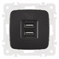 Розетка USB, без рамки Arte Milano am-205 205.46-1.black - фото 4938423