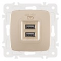 Розетка USB, без рамки Arte Milano am-205 205.46-1.shampan - фото 4938427