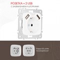 Розетка с заземлением и со шторкой и 2хUSB, без рамки Arte Milano am-205 205.47-1.white - фото 4938452 Розетка с заземлением и со шторкой и 2хUSB, без рамки Arte Milano am-205 205.47-1.white - фото 4938452