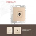 ТВ-розетка без рамки Arte Milano am-206 206.43-1.shampan - фото 4938711