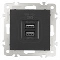 Розетка USB, без рамки Arte Milano am-206 206.46-1.black - фото 4938754