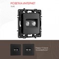 Розетка Ethernet RJ-45 без рамки Arte Milano am-217 217.45-2.black - фото 4939089 Розетка Ethernet RJ-45 без рамки Arte Milano am-217 217.45-2.black - фото 4939089