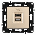 Розетка USB, без рамки Arte Milano am-217 217.46-1.shampan - фото 4939108