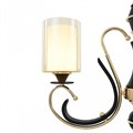 Подвесная люстра Arte Milano Florentia-2237 302237/5 Bk/Gd - фото 4939280