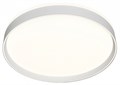 Накладной светильник Denkirs PLATO DK6511-WH/1 - фото 4949981