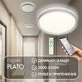 Накладной светильник Denkirs PLATO DK6511-WH - фото 4950048