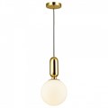 Подвесной светильник Odeon Light Okia 4669/1 - фото 4950767