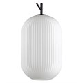 Подвесной светильник Odeon Light Roofi 4752/1 - фото 4951453