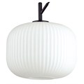 Подвесной светильник Odeon Light Roofi 4753/1 - фото 4951461
