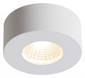 Накладной светильник Odeon Light Bene 4282/7CL - фото 4951683