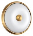 Накладной светильник Odeon Light Pelow 4956/2 - фото 4951792