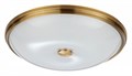 Накладной светильник Odeon Light Pelow 4956/5 - фото 4951798