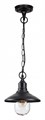 Подвесной светильник Odeon Light Campa 4965/1 - фото 4951887