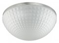 Накладной светильник Odeon Light Pirsa 4937/4C - фото 4952450