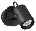 Светильник на штанге Odeon Light Stima 6647/10WL - фото 4954220
