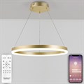 Подвесной светильник Natali Kovaltseva Oreol LED LAMPS 81296 - фото 4969050