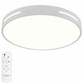 Накладной светильник Natali Kovaltseva Modern LED LAMPS 81334 - фото 4969575