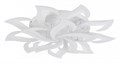 Потолочная люстра Natali Kovaltseva Olimp LED LAMPS 81335 - фото 4969664