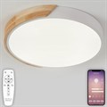 Накладной светильник Natali Kovaltseva Scandinavian LED LAMPS 81181 - фото 4969690