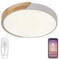 Накладной светильник Natali Kovaltseva Scandinavian LED LAMPS 81181 - фото 4969691