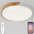 Накладной светильник Natali Kovaltseva Scandinavian LED LAMPS 81182 - фото 4969701