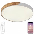 Накладной светильник Natali Kovaltseva Scandinavian LED LAMPS 81182 - фото 4969702